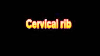 What Is The Definition Of Cervical rib Medical Dictionary Free Online [upl. by Zacharia]