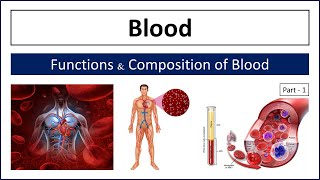 Introduction to Blood  Part1  Functions amp Composition of Blood [upl. by Orson]