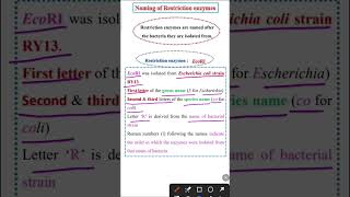 Naming of Restriction Enzymes  Biotechnology class 12 [upl. by Tseng]