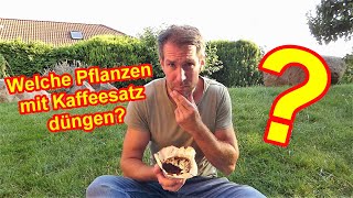 Diese Pflanzen lieben Kaffeesatz als Dünger Düngen mit Kaffee im Garten [upl. by Carolann]