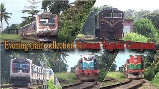 Evening train collection between Yagoda Gampaha Episode 02 [upl. by Ahsasal]