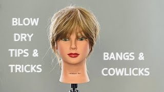 Blow Dry Tips amp Tricks  Bangs amp Cowlicks [upl. by Carnahan]