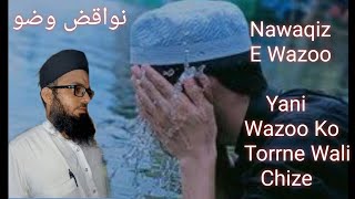 Nawaqize Wazoo Wazoo Ko Torne Wali chizeislamicvideo education Mufti Imran Faridabadi [upl. by Murat448]