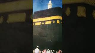 Vah jab aate hue mujhe gale Laga haiislamicshort beautiful naatsharif alkudus allama fahmi 🕋 [upl. by Eisseb365]