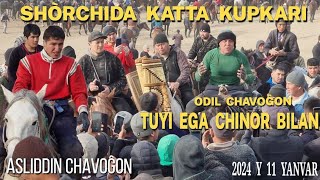 BUGUN SHÒRCHIDA KATTA KUPKARI BULDI ASLIDA TUY EGANI KIM AYERDI ODIL CHAVOĜON CHINOR [upl. by Ynohtnael]