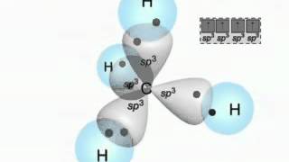 Molecular Shape and Orbital Hybridization [upl. by Donelle]