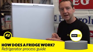 How Does a Fridge Work How is a Fridge Cooled amp More [upl. by Anyale]