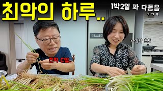 여러분은 김치 담그지 말고 사묵으세요1박2일 고통받는 김장 브이로그ㅋㅋㅋ 역대 최악의 노동 [upl. by Ened]