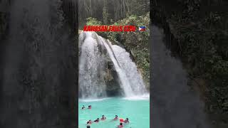 Kawasan falls Cebu cebu philippines shorts [upl. by Ilene436]