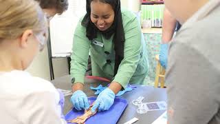 Squid dissection brings reading unit to life [upl. by Annawak]