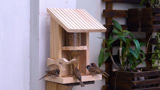 Create a WINE BOTTLE Bird Feeder with SOLID WOOD [upl. by Adlanor]