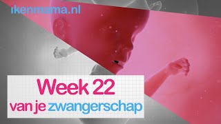 22 weken zwanger  ikenmamanl [upl. by Rowney]