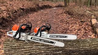 Stihl Ms 462 r cm vs Stihl Ms 362 r cm [upl. by Aitropal316]