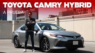 Toyota Camry Hybrid a prueba un sedán para moverte como rey y con mejor consumo que un subcompacto [upl. by Noillimaxam]