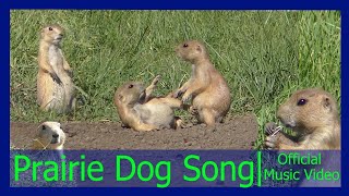 PRAIRIE DOG SONG 🎵 Official Music Video  Song about Prairie Dogs [upl. by Norramic122]