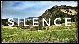 Silent Sound for Study  Relaxing Nature Ambience Meditation  Lawn Grassland Hayfield [upl. by Herod315]