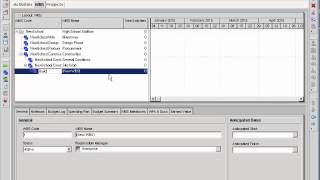 Build a Work Breakdown Structure In Primavera P6 [upl. by Yaakov]