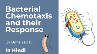 Bacterial Chemotaxis and their Responses  Microbiologyseries CSIR [upl. by Audun]