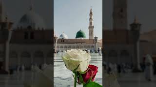 Woh mery nabi hn 😍naat Allah Islamicshorts varil youtubeshorts [upl. by Nannah875]