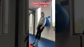 Tibialis Raises with Stability Ball [upl. by Stiles602]