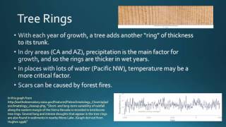 BIO 130 GCC Paleoclimatology coral and tree rings [upl. by Ellehsar]