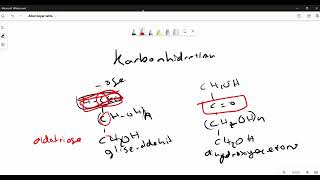 Karbonhidratlar tıp1 biyokimya [upl. by Attirehs]