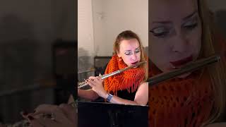 Gariboldi  Op 132 No 8 flute atlanta etude [upl. by Jerz]