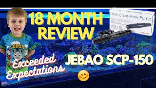 Jebao SCP150 Gyre Pump 18 Month ReviewWould I Buy it Again [upl. by Annaeerb671]