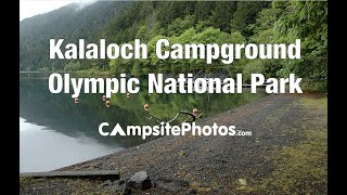 Kalaloch Campround Olympic National Park Washington Campsite Photos [upl. by Merrell]