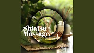 Shiatsu Massage [upl. by Ainahpets]