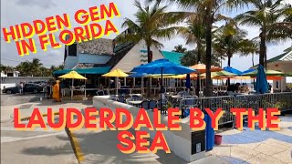 BEST Things to Do in LAUDERDALE BY THE SEA [upl. by Renwick]