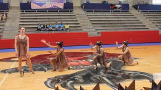 quotThe StrugglequotDazzlers Dance Studio Officers at Regionals 22517 [upl. by Anzovin]