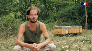 Reconversion en apiculture  Nathan témoigne [upl. by Aslam]