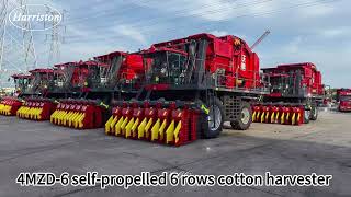 4MZD6 selfpropelled 6 rows cotton harvester harriston harvester cottonharvester cottonpicker [upl. by Christianity]