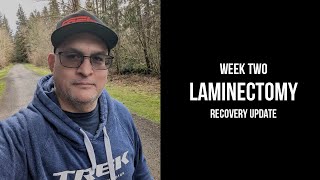 Laminectomy Recovery Week Two Update [upl. by Darken883]