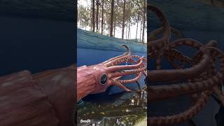 Sea monsters trail dinoparquelourinha9481 dinoparque seacreatures seaanimals [upl. by Ynnig]