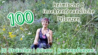 100 heimische amp insektenfreundliche Pflanzen 34 Pflanzen und Standortkunde  BestäuberWissen [upl. by Riegel]