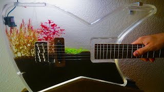 Building an Electric Aquarium Guitar [upl. by Rona938]