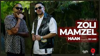 ZOLI MAMZEL  HAAN ft DJ ANI Official Audio anipursun [upl. by Nager]