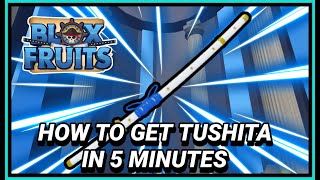 How To Get Tushita Under 3 Minutes  Blox Fruit Tushita Puzzle [upl. by Aleahc]