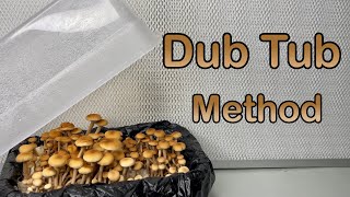 How to Grow Mushrooms Dub Tub Method [upl. by Adrahs468]