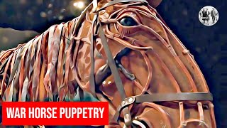 War Horse puppetry [upl. by Halyahs]