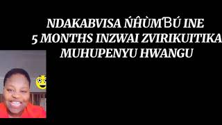 NDAKABVISA NHUMBU INE 5 MONTHS CHINZWAI ZVAAKUITIKA MUHUPENYU HWANGU [upl. by Keverian594]