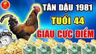 TUỔI VÀNG PHÁT TÀI CỰC GIÀU Tân Dậu 1981 Năm 44 Tuổi CÁ CHÉP HOÁ RỒNG PHÚ QUÝ ÙA VỀ [upl. by Avehstab289]