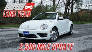 2018 Volkswagen Beetle Convertible  Long Term Update 2500 miles [upl. by Adekahs746]