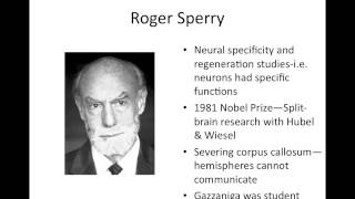 AP Psychology Review Psychologists of Biological Bases and Sensation amp Perception Units [upl. by Aloap]