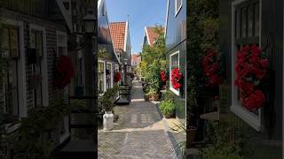 Walking through Volendam The Netherlands holland volendam thenetherlands europe shortsvideo [upl. by Yllime]