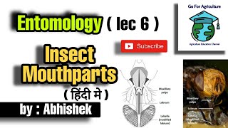 Insect mouthparts  Its type and classification  Entomology lec 6  Go For Agriculture [upl. by Aisatana]