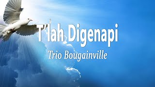 Trio Bougainville  T’lah Digenapi Lirik Lagu  Lagu Natal Terbaru 2024 [upl. by Nnylecyoj]