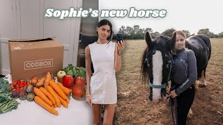 FAMILY VLOG meal prepping for the week  meeting Sophies new horse 🍂 fall vlog 2024 [upl. by Sawyere]